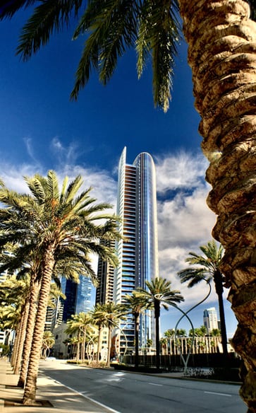 <span>Discover</span> San Diego callout