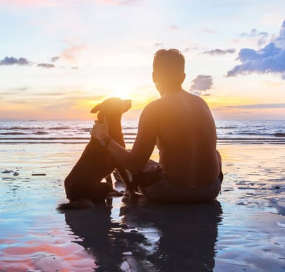 Thing To Do Pet-Friendly Rentals