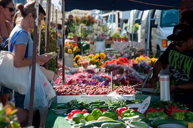 Things To Do Newport Avenue